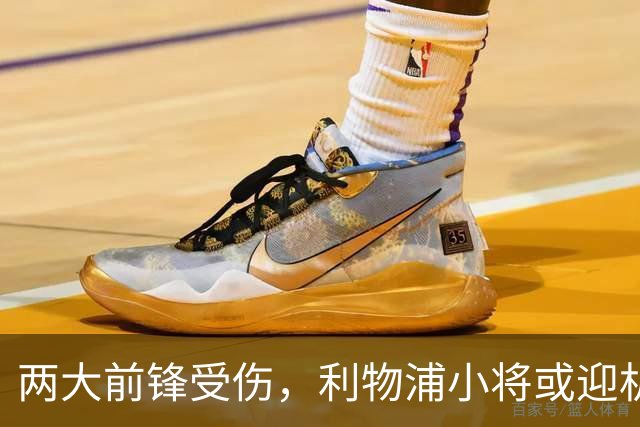 两大前锋受伤，利物浦小将或迎机会