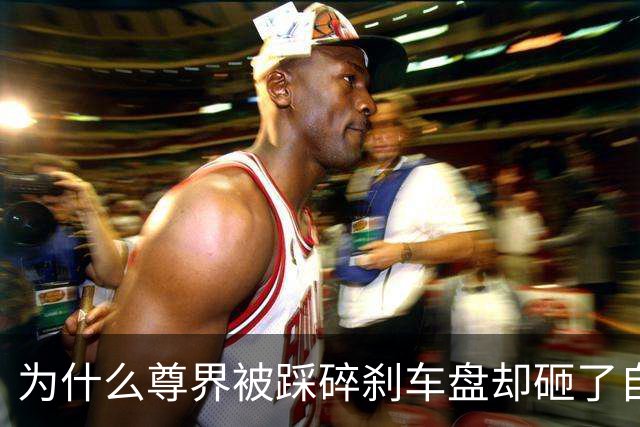 为什么尊界被踩碎刹车盘却砸了自家招牌？