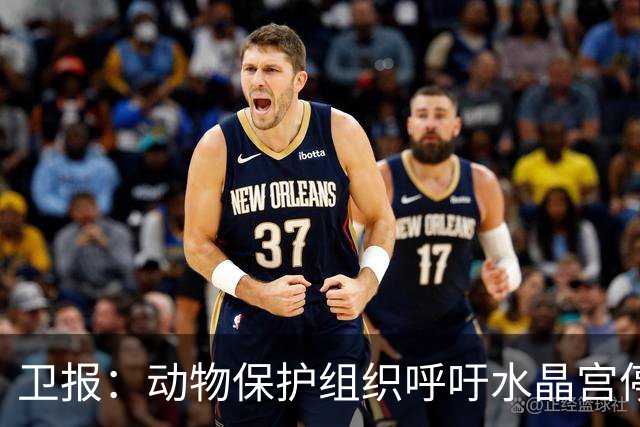 卫报：动物保护组织呼吁水晶宫停用活体白头海雕作为吉祥物