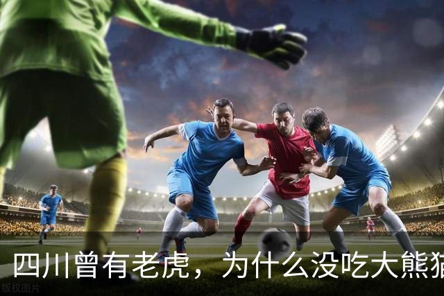 四川曾有老虎，为什么没吃大熊猫？护林员说：80%的人不知道，老虎就算“饿疯了”，也不会将大熊猫当作美餐