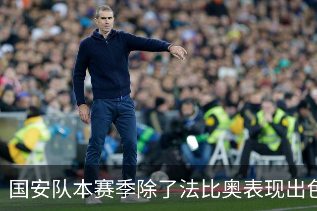 国安队本赛季除了法比奥表现出色之外！还有这位外援也发挥不错