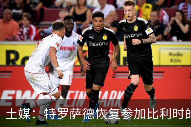 土媒：特罗萨德恢复参加比利时的公开合练，卢卡库也参与
