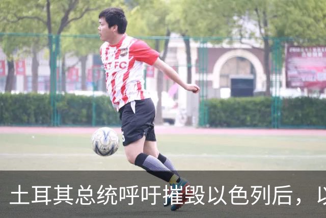 土耳其总统呼吁摧毁以色列后，以色列发文怒喷：你也不是啥好东西