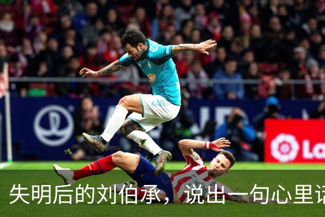 失明后的刘伯承，说出一句心里话：我征战半生，只服一人