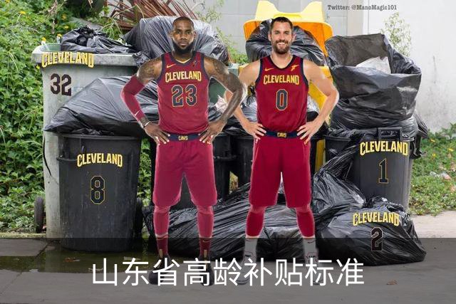 山东省高龄补贴标准