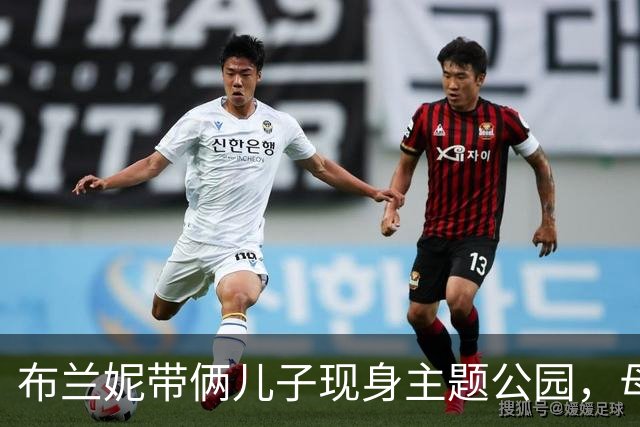 布兰妮带俩儿子现身主题公园，母子同游画面曝光