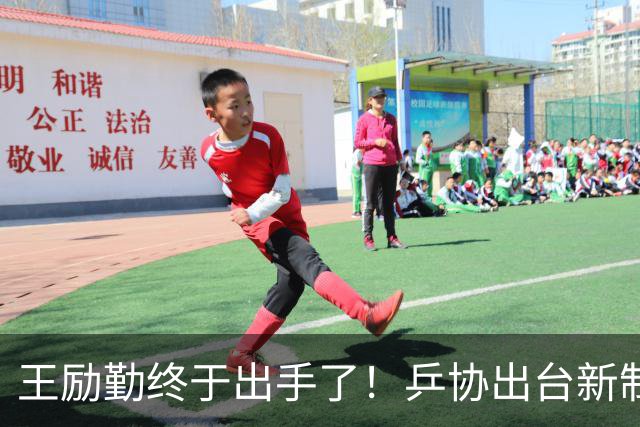 王励勤终于出手了！乒协出台新制度，国乒饭圈乱象该消停了