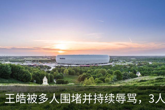 王皓被多人围堵并持续辱骂，3人被拘后均未满20岁......