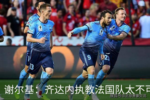 谢尔基：齐达内执教法国队太不可思议了，大家都知道他的经历