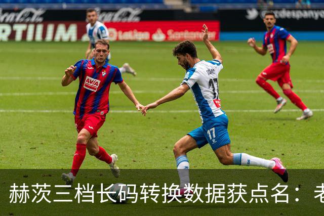赫茨三档长码转换数据获点名：老鹰进攻组潜力被看好