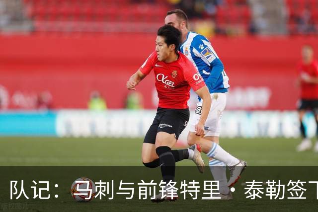 队记：马刺与前锋特里·泰勒签下训练营合同 目前大名单已有21人