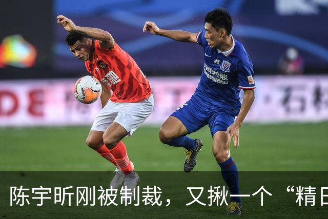 陈宇昕刚被制裁，又揪一个“精日”人员：竟然还是本土企业老板