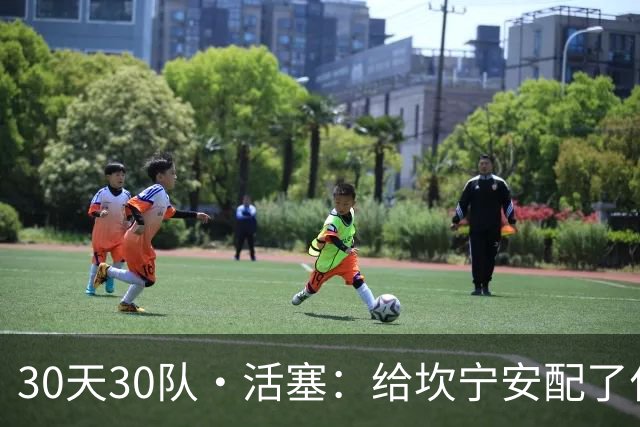 30天30队·活塞：给坎宁安配了什么？